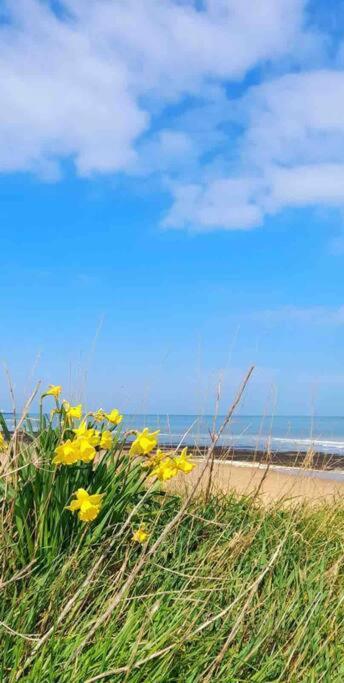 Herne Bay Central - 2 Minutes From Beach Apartment Kültér fotó